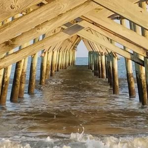 Meet your Posher, Joanne